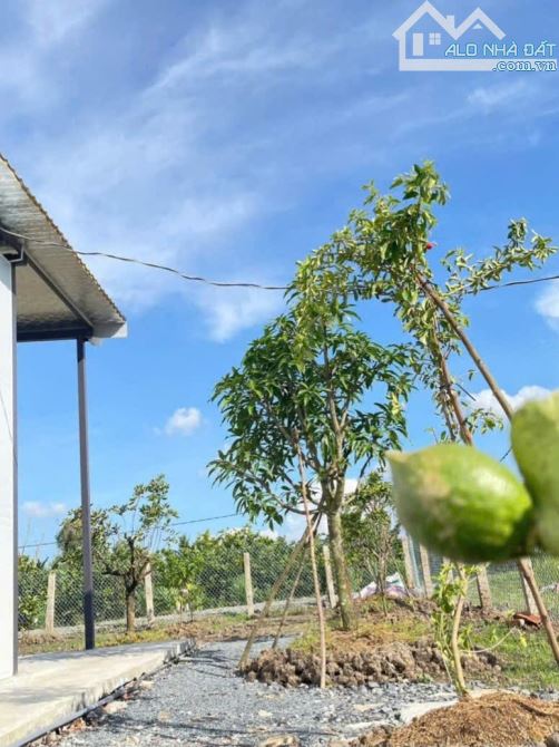 Siêu phẩm, nhà vườn 500m2 đất vườn View Kênh chỉ 899 tr - 5