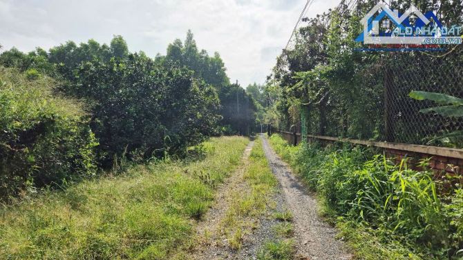 Bán đất xã Bình Lợi Huyện Vĩnh Cửu Đồng Nai 3700m2 giá chỉ 6,5 tỷ. - 5