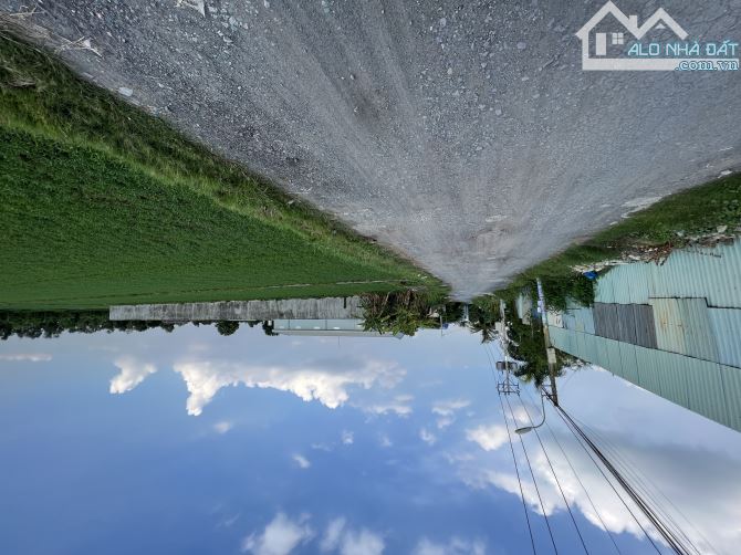 Bán đất đường 171 ( Hà Duy Phiên ) Bình Mỹ Củ Chi , 2257m2 ( 29,5 x 71 ) - 5