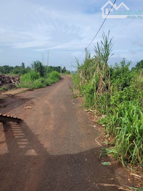 BÁN 1000M2 ĐẤT MT NHỰA VIEW HỒ SÔNG RAY TAI BÀU LÂM XUYÊN MỘC, GIÁ 850TR - 5