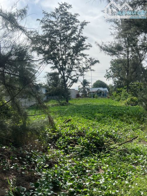 ĐẤT VIEW BIỂN MẶT TIỀN ĐƯỜNG NGUYỄN CƠ THẠCH - PHƯỜNG MŨI NÉ — TỈNH BÌNH THUẬN - 6