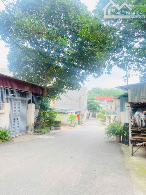 Bán đất Mậu Lâm, Khai Quang, Vĩnh Yên. DT 225m2. Giá 4.6 tỷ - 6