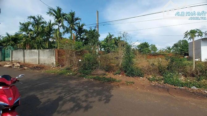 Siêu phẩm- Đất thổ cư tại Ea Kao, Buôn Ma Thuột, Đắk Lắk với diện tích 221m² (thổ cư 60m2) - 6