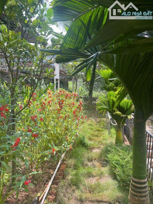 Cần Bán  NHÀ VIEW HỒ NGHỈ DƯỠNG CƯEBUR Tp Bmt GIÁ CHỈ 2 TỶ 700 TRIỆU - 7