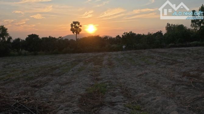 🌿 CHÍNH CHỦ BÁN ĐẤT MẶT TIỀN ĐẸP – GIÁ ĐẦU TƯ SIÊU TỐT 🌿