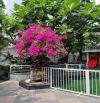 🌴 BIỆT THỰ MỸ KHÊ – MẶT TIỀN DƯƠNG ĐÌNH NGHỆ – SIÊU HIẾM 🌴
