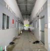 GIÀ KHÔNG QUẢN LÝ ĐƯỢC BÁN DÃY TRỌ 13P Ở CỦ CHI 12x36 ( 448m2 ) 1TY05 SHR