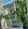 Bán Nhà đẹp đường Trương Công Định ( P7 cũ ) Vũng Tàu