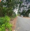 Cần Bán Lô Phú An, Bến Cát, Bình Dương. Diện tích: 10x43 tổng 443m2 có 100m2 thổ cư