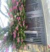 🌟🏖 NHÀ 2 TẦNG ĐẦU KIỆT – NGUYỄN VĂN THOẠI – 84,5M² – 13.6 TỶ 🏖🌟