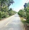 Bán đất 100m2 P. Tân Triều mới, gần TT Biên Hòa, SHR, chỉ hơn 1 tỷ