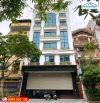 Bán gấp nhà MP Tú Mỡ Cầu Giấy Vỉ hè Oto KD 55m2 x8T nhỉnh 38 tỷ TL.