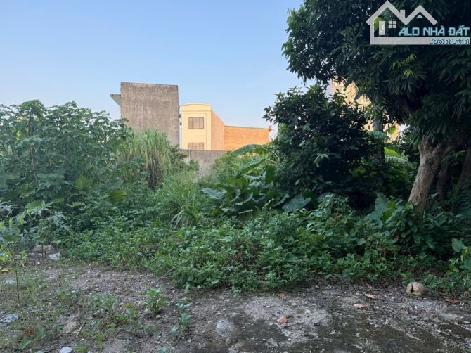 🏠 BÁN 2 LÔ LIỀN NHAU – NGÕ QUỲNH CƯ, HÙNG VƯƠNG-GIÁ 1,25 TỶ/LÔ