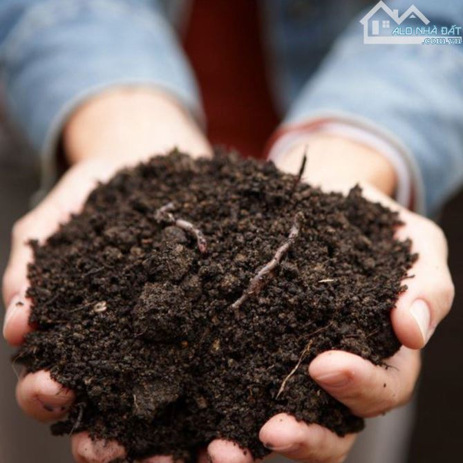 Bán đất mặt tiền đo thị Chí Linh Vũng Tàu giá ngộp