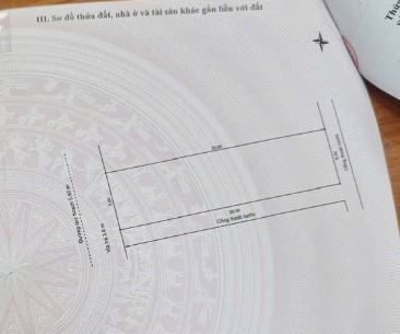 🥇 Bán đất mặt tiền đường 5m5 Thành Vinh 3 (100 m2), Sơn Trà - Đà Nẵng, Giá 8.6 tỷ tl