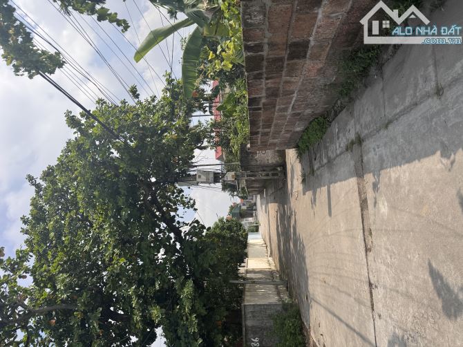 💎 Lô đất 55m² “chuẩn chỉnh” tại Xích Thổ – An Hải, An Dương, Hải Phòng – vừa ở vừa đầu tư