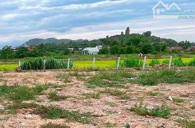 Bán đất thổ cư gần tháp Bánh ít, Tuy Phước, Bình Định