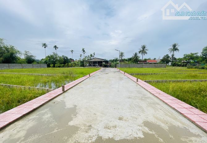 Hương Xuân chưa qua đường tránh chào bán 8lô 115m2 giá chỉ 4xx triệu