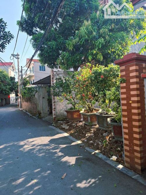 Bán đất Đại Đồng Đại Mạch Đông Anh Hn 109m2 9.8 tỉ