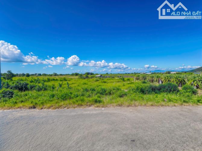 🔥 BÁN ĐẤT - MẶT TIỀN ĐINH CÔNG TRÁNG - (19,5 x 23) - FULL THỔ CƯ - GIÁ 2 TỶ 500 TRIỆU 🌊 - 1