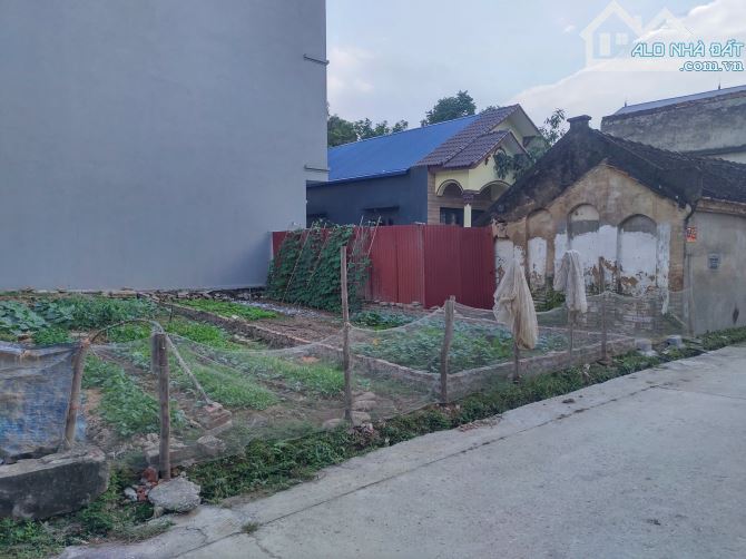 🔊Chính chủ gửi bán 50 m2, Mt4.2m trục chính Đường Yên , Thư Lâm, HN - 1