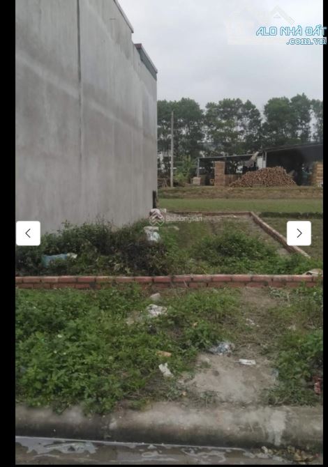 Bán đất Tân Ngọc Bá  Hiến Bình Xuyên Vĩnh Phúc - 1