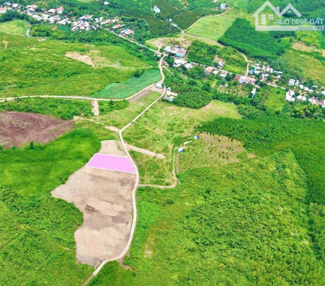 💥B.án lô đất 1119m2 FULL thổ cư (TÁCH ĐƯỢC 6 LÔ) gần Thị Trấn, cách TL8 chỉ hơn 200m💥 - 1