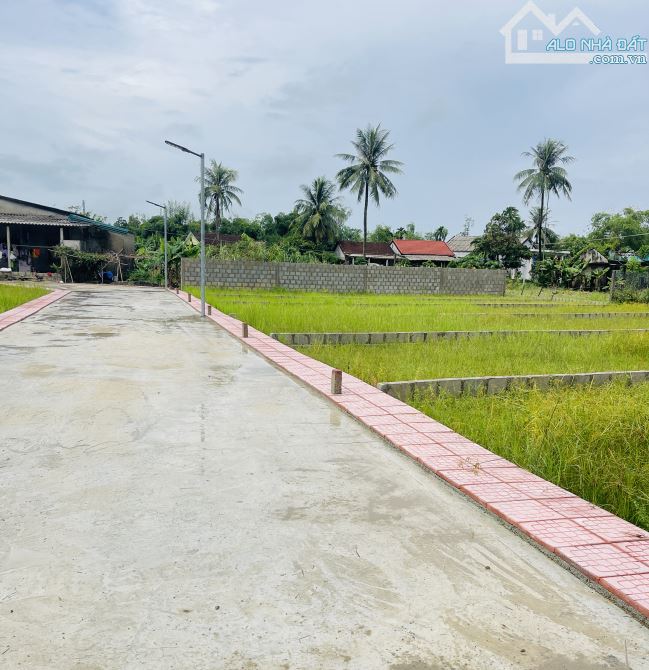 Hương Xuân chưa qua đường tránh chào bán 8lô 115m2 giá chỉ 4xx triệu - 1