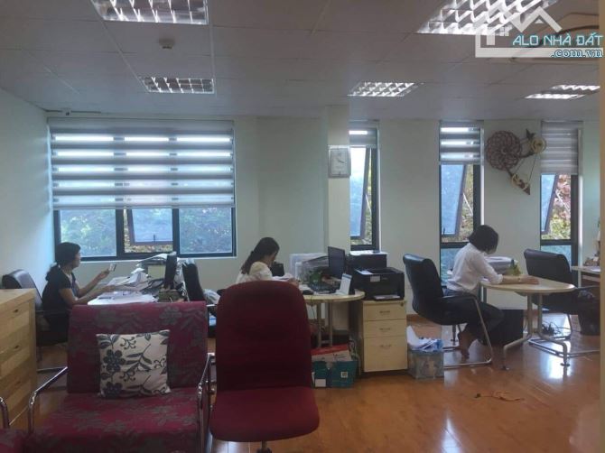 Nhà Thái Hà, 116m, 7 tầng thang máy, kinh doanh đỉnh, giá rẻ giật mình. - 1