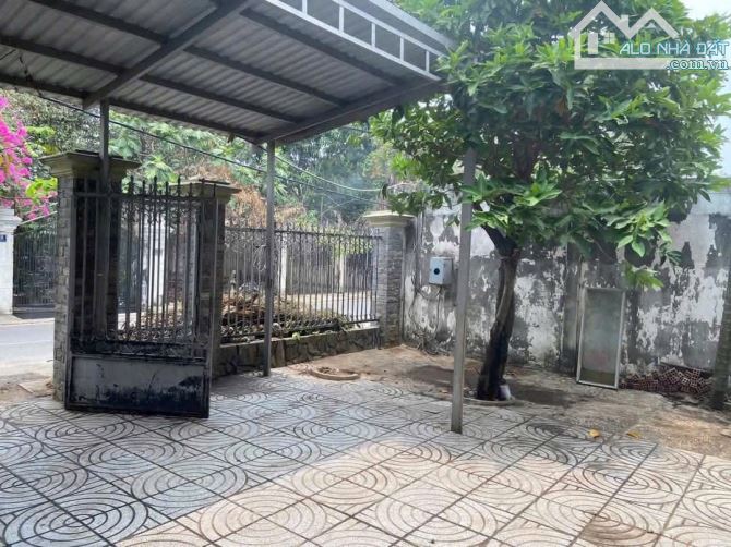Biệt Thự Vườn Xuân Thới Thượng Hóc Môn . 14×23 nỡ hậu 16 - 2