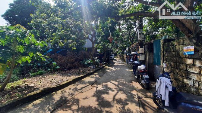 🌳🌳🌳 Hàng hiếm 65m Phượng đồng phường chương Mỹ Hà Nội  🌳 Đường oto thông - 2