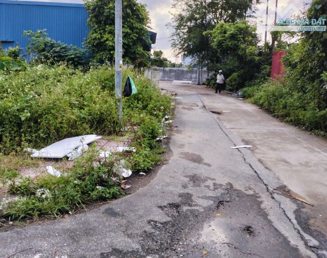 Bán đất đấu giá Đẩu Sơn 1, Phù Liễn, Kiến An, Hải Phòng - 2