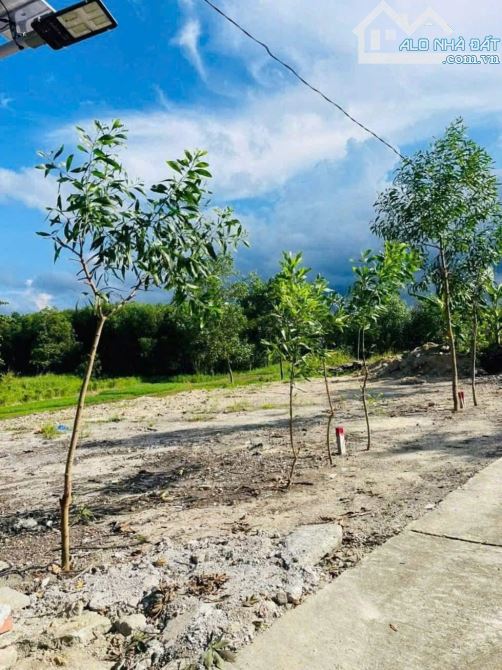 🏡 Đất thổ cư trung tâm Phong Điền, sau lưng CÔNG AN TX - Giá chỉ từ 399 - 2