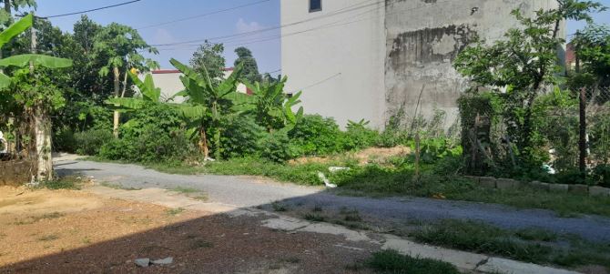 Bán đất 60m khu tập thể j106 thủy xuân tiên giá tốt - 2