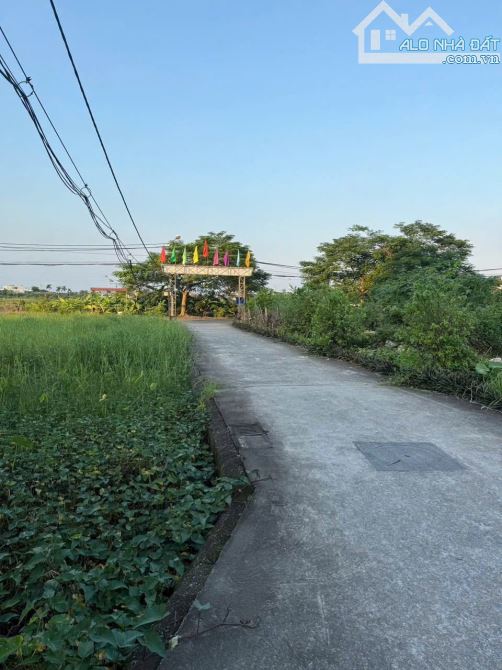 BÁN 2 LÔ LIỀN NHAU giá chỉ 1,25 tỷ/1 lô– NGÕ QUỲNH CƯ, HÙNG VƯƠNG, HỒNG BÀNG, HẢI PHÒNG - 3