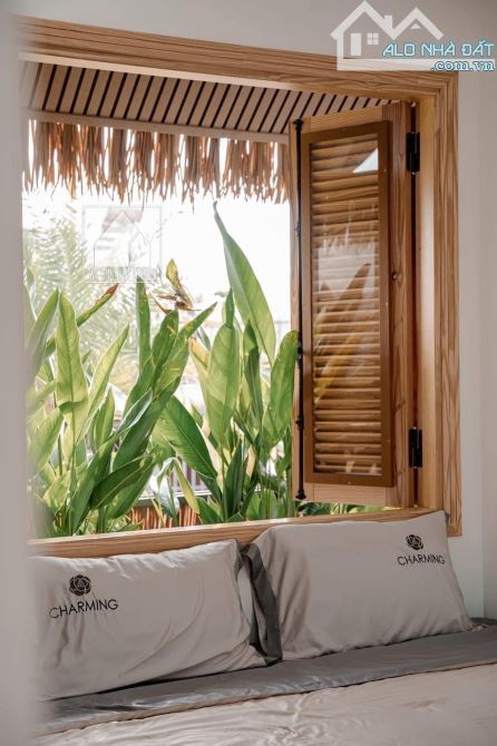CẦN NHƯỢNG LẠI HOMESTAY CAO CẤP MẶT TIỀN ĐƯỜNG KHU TÂN LỢI - 3
