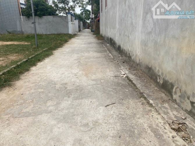 Cần tiền bán gấp mảnh đất tại thôn Yên Ninh, Hiền Ninh – vị trí đẹp, giá tốt - 3