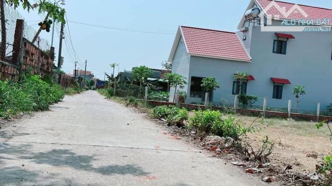Bán đất thổ cư gần tháp Bánh ít, Tuy Phước, Bình Định - 3