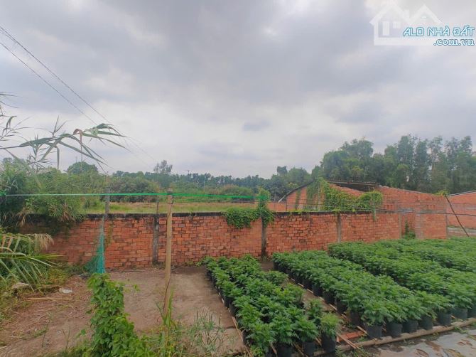 BÁN NỀN THỔ CƯ 9,4M X 21M GIÁ 2 TỶ 750 TRIỆU - 3
