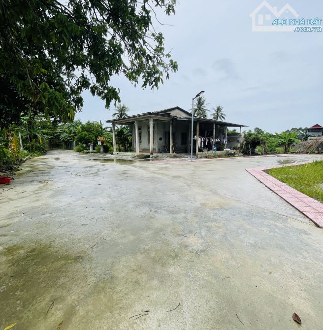 Hương Xuân chưa qua đường tránh chào bán 8lô 115m2 giá chỉ 4xx triệu - 3