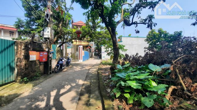🌳🌳🌳 Hàng hiếm 65m Phượng đồng phường chương Mỹ Hà Nội  🌳 Đường oto thông - 3