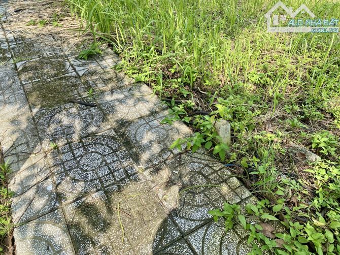 Bán cặp nền Thắng Lợi Central Hill - SHR, thổ cư 100%, gần chợ Gò Đen, giá chỉ 1 tỷ 450 - 3