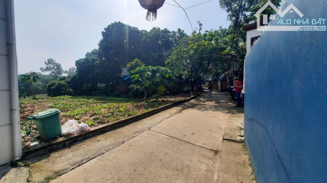 🌳🌳🌳 Hàng hiếm 65m Phượng đồng phường chương Mỹ Hà Nội  🌳 Đường oto thông - 4