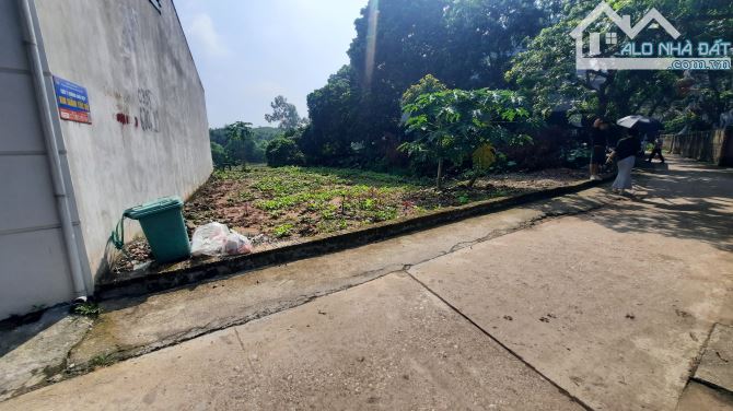 🌳🌳🌳 Hàng hiếm 65m Phượng đồng phường chương Mỹ Hà Nội  🌳 Đường oto thông - 5