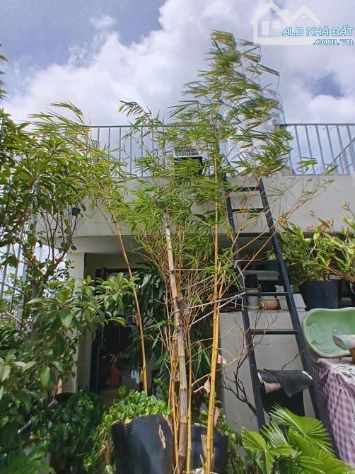 Bán gấp nhà mặt tiền kinh doanh nguyễn thị sóc hóc môn. 7Tầng. 180m2.Giá 13tỷ. - 6