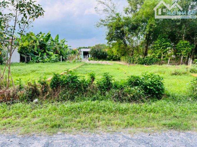 Bán đất Trung Lập Hạ - Củ Chi : 100m2 ( 5x20 ) - full thổ cư . Giá 750 triệu - 6