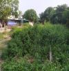 Cho thuê 2.4ha bãi đất trống bằng phẳng tại Phước Tân, Biên Hòa, giá thuê 5k/m2/tháng