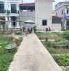 💫Mảnh Đất Siêu Đẹp Ngay Trung Tâm Xã   🏠Phạm Hồng Thái_Hà Hồi_Thường Tín - HÀ NỘI   **DT