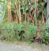 Cần bán  đất thổ cư CẦU VƯỢT PHÚ THỊ, Gia Lâm – 50 m², ô tô vào, gần hồ, nhỉnh 4 tỷ.