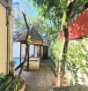 🏡 Bán nhà Trần Quốc Thảo 344m² 3 tầng – 160 tỷ – Biệt thự hồ bơi